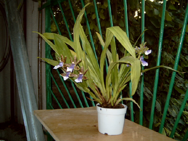P4100009.JPG