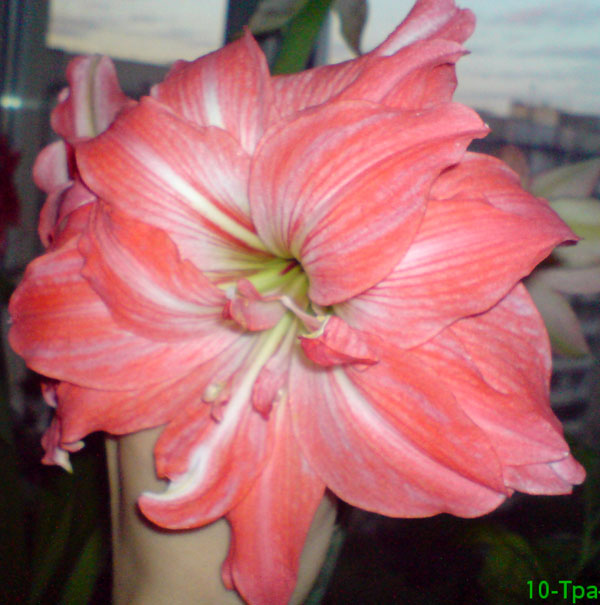 DSC00329.JPG