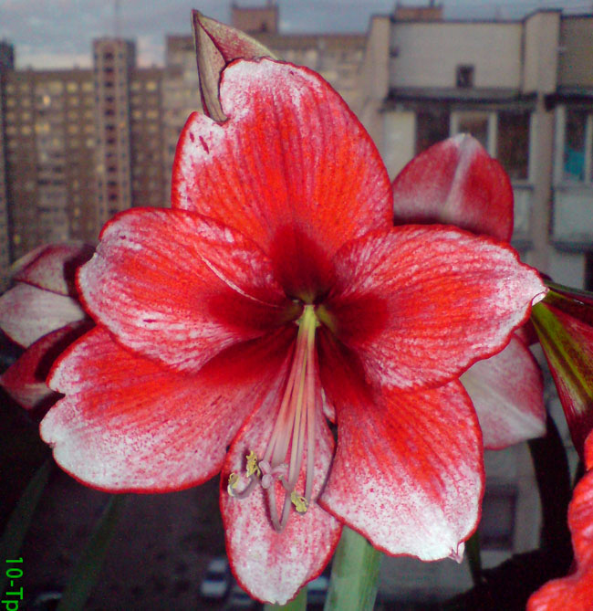 DSC00332.JPG