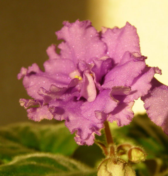 PA092375.jpg