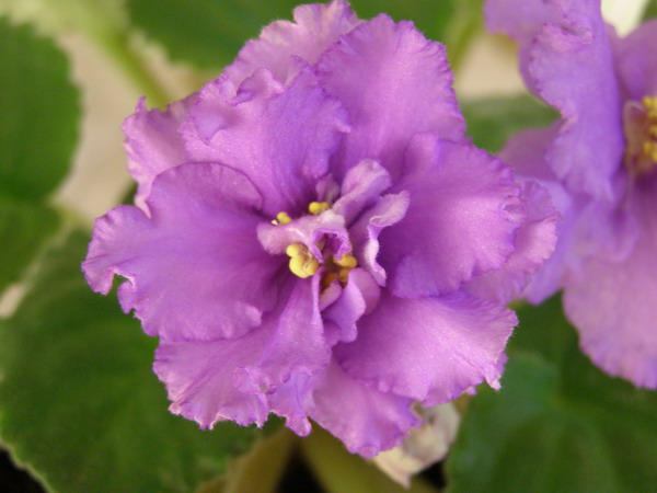 PA092374.jpg