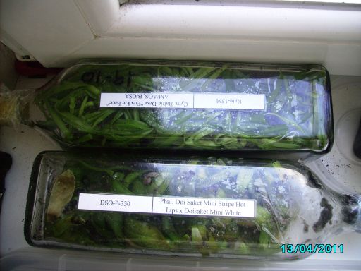 PICT0239.jpg