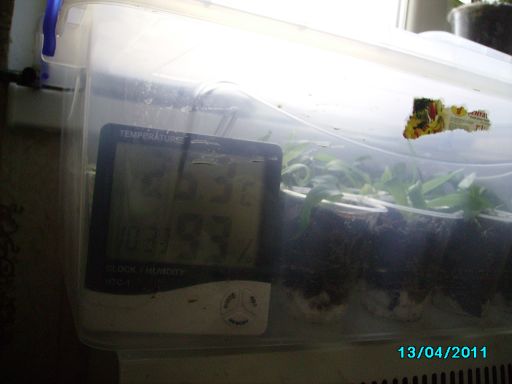 PICT0238.jpg