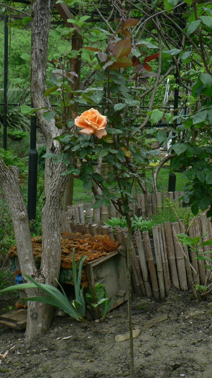 P1090937.JPG