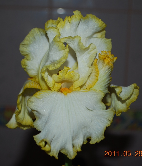 DSC_0757.JPG