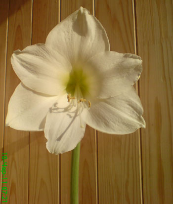 DSC00091.JPG