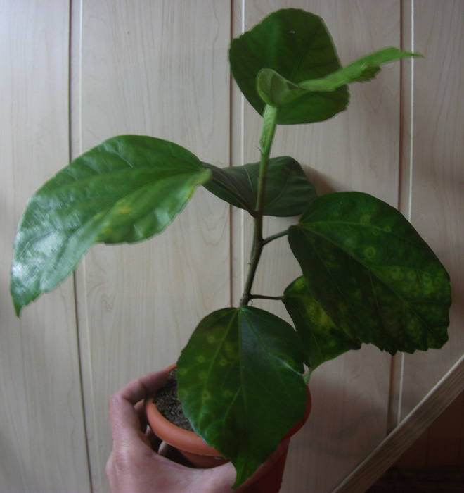 DSCF2641_.jpg