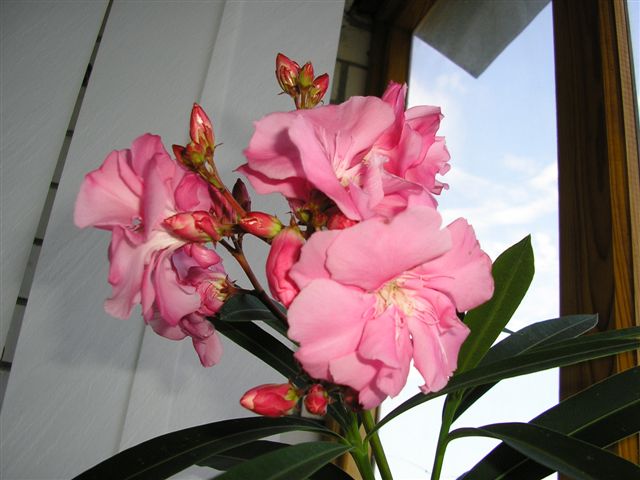 P1010001.JPG