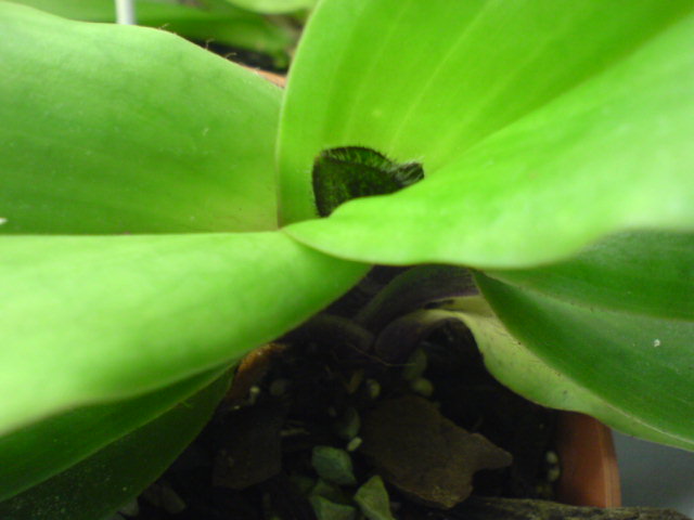 DSC00244.JPG