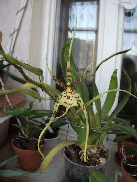 DSCF0769.JPG