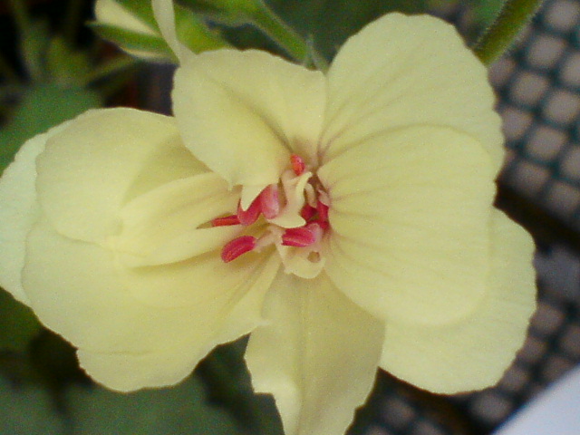 DSC03814.JPG