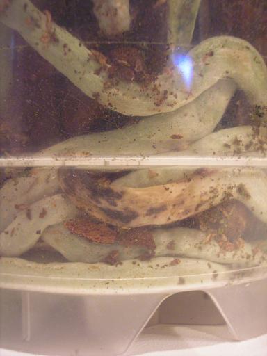 PB030027_.JPG