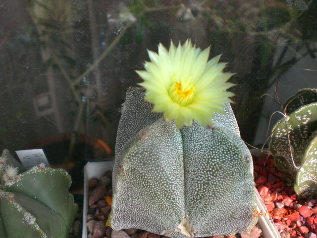 CIMG8509.JPG