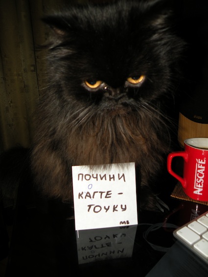 DSCN5874.jpg