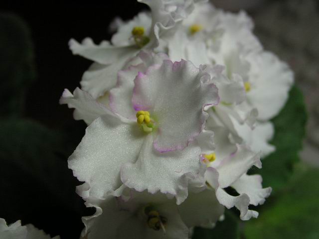 Resize of PICT0070.jpg