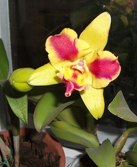 DSCF1033_1.jpg
