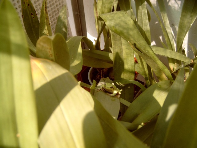 p4100001_123.jpg