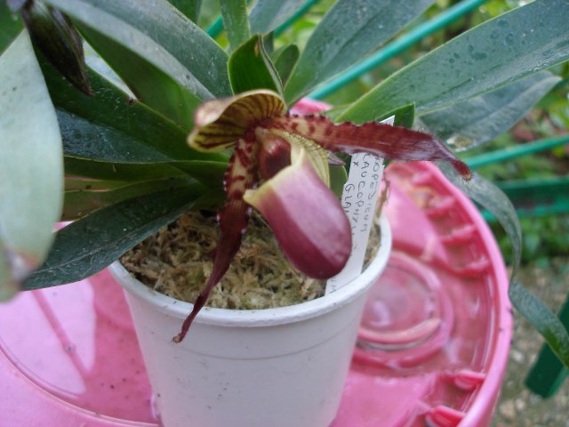 p9250380_183.jpg