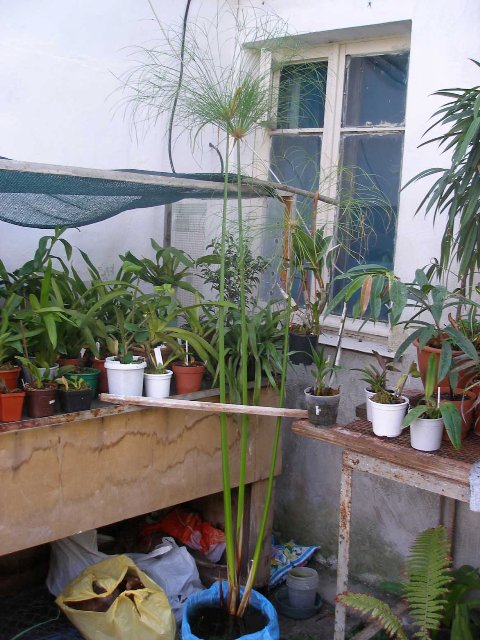 p9250384_115.jpg