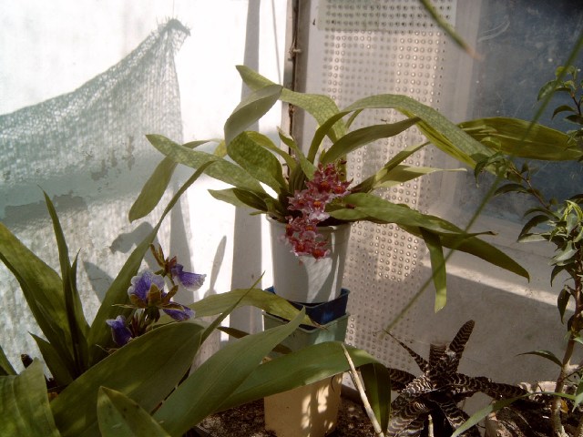 p4100002_388.jpg