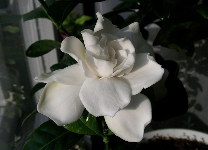DSCF6551_.jpg
