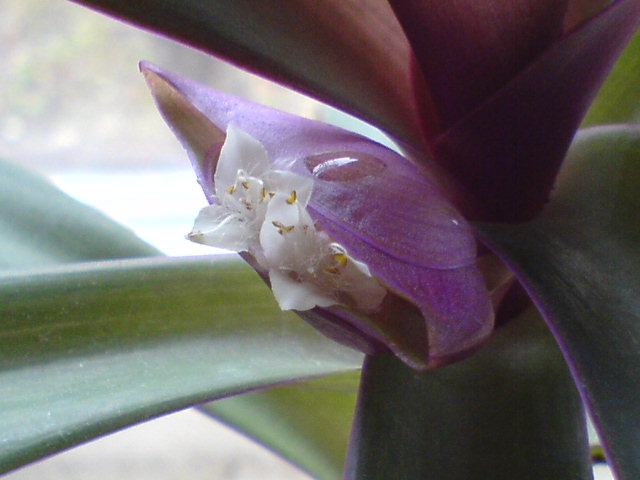 DSC00381.JPG