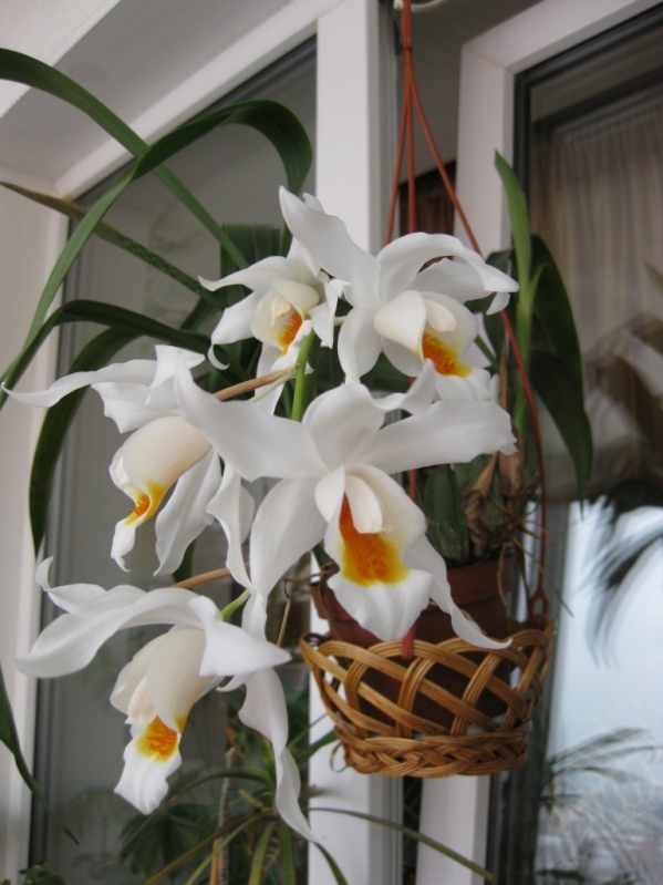 IMG_4677.JPG