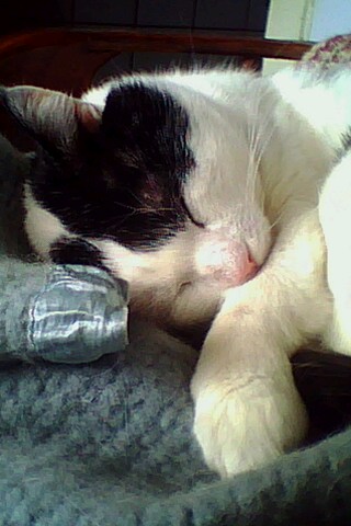 IMG0096A.jpg