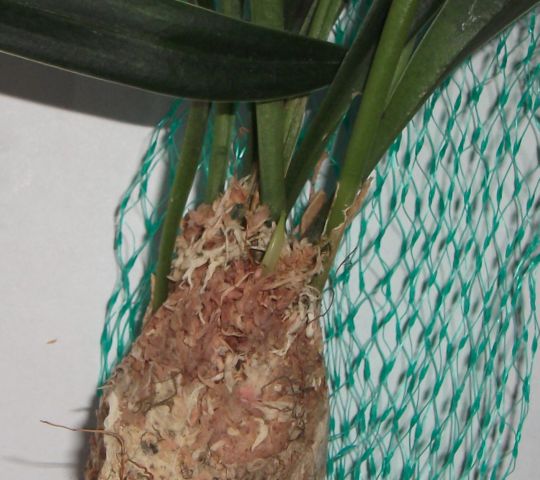 photo 002.jpg