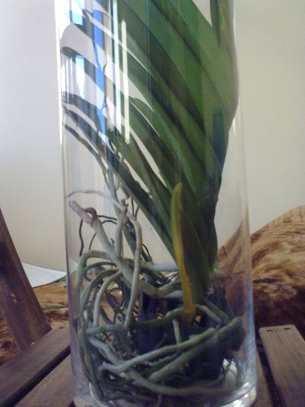 06042012185.jpg