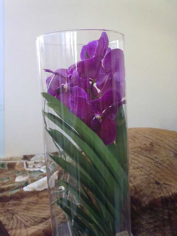 06042012186.jpg