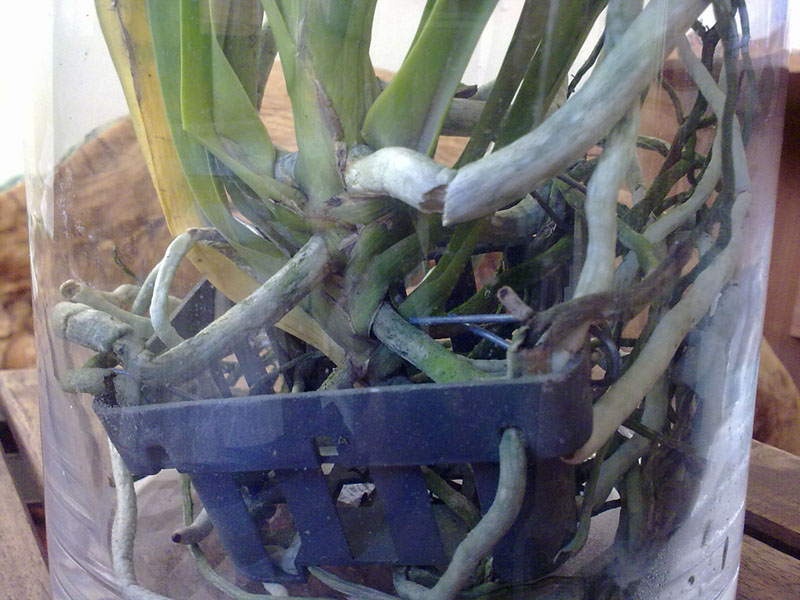 06042012189.jpg