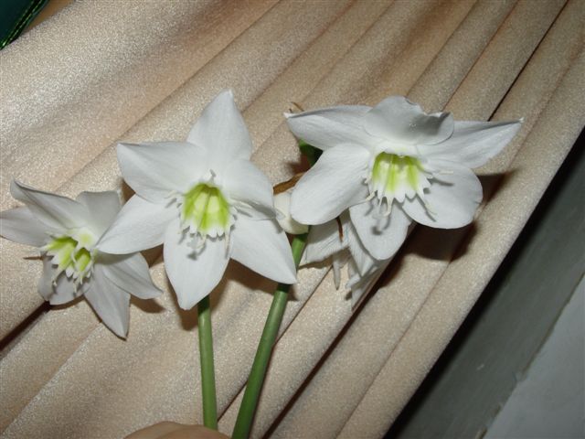160.jpg