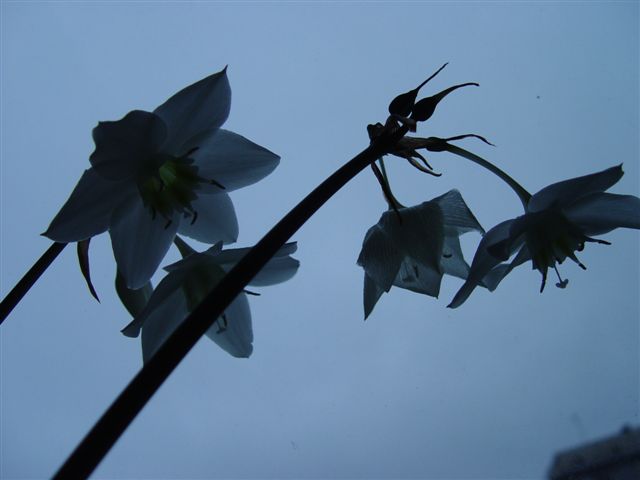 156.jpg