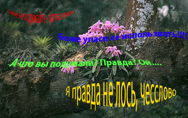 1145460444_sorry.jpg