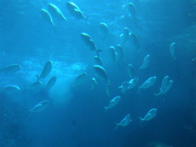 DSC00561.JPG