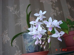 DSC02500.JPG