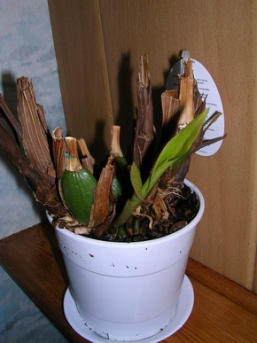 DSCN3530.jpg