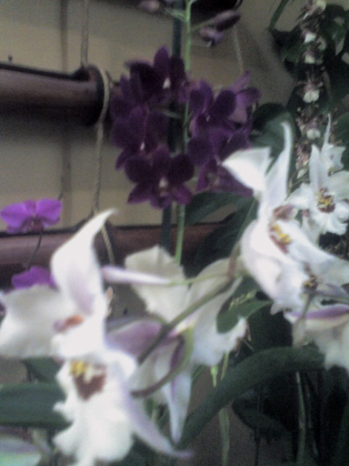09-12-06_1456_sm.jpg