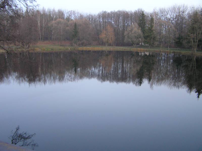 PB250032.jpg