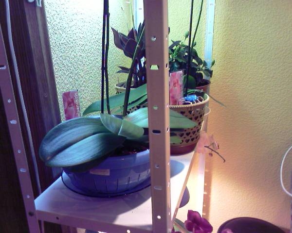 Photo-0037.jpg