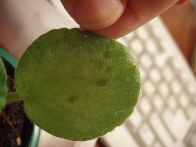 PC210004_01.jpg