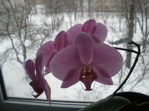 PC220016.JPG