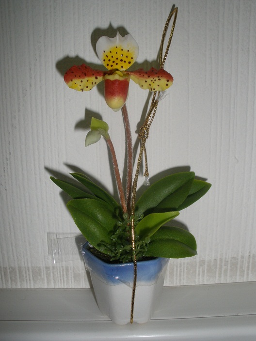 P1060005.JPG