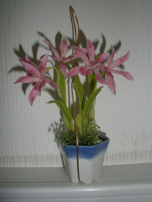 P1060004.JPG