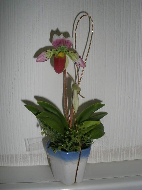 P1060002.JPG