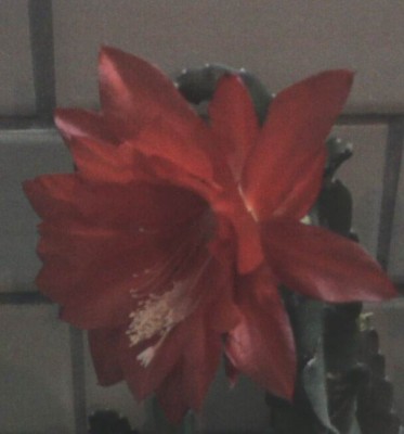 IMG008_sm.jpg