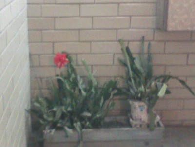 IMG007_sm.jpg