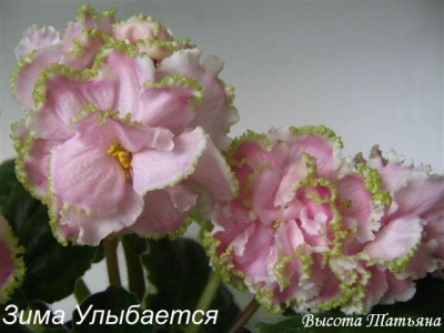IMG_2510.JPG
