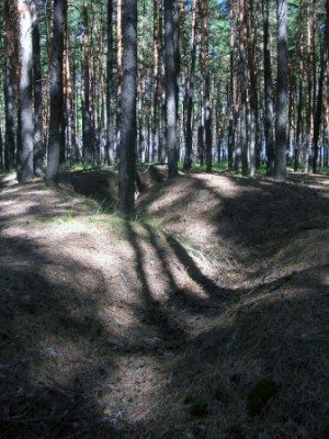 wood_4.jpg